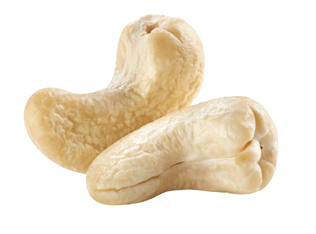 raw cashews bulk supplier vietnamese
