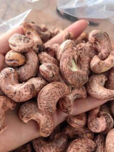 Cashew Nut Supplier in Malaysia
