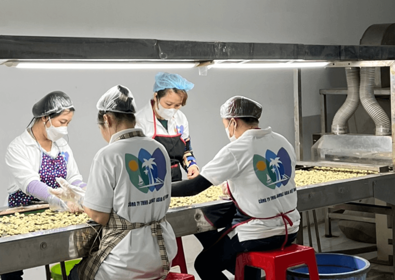 cashew nut exporter in vietnam, jannat asia viet nam